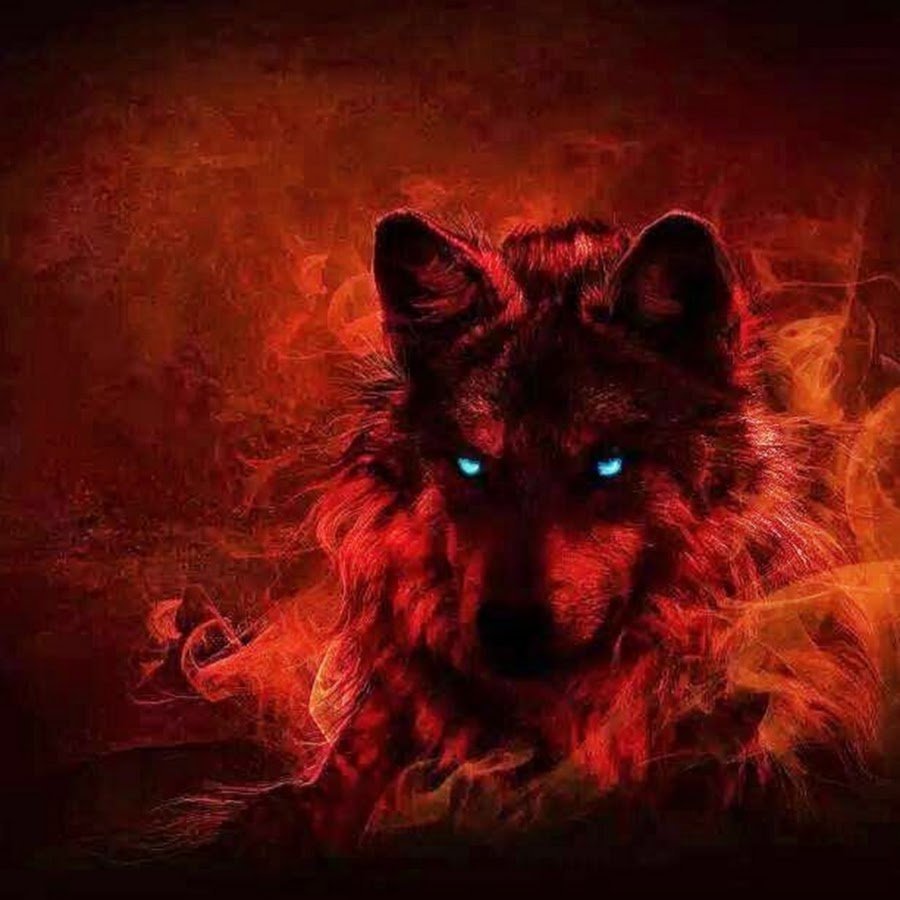 Картинки волка на аву