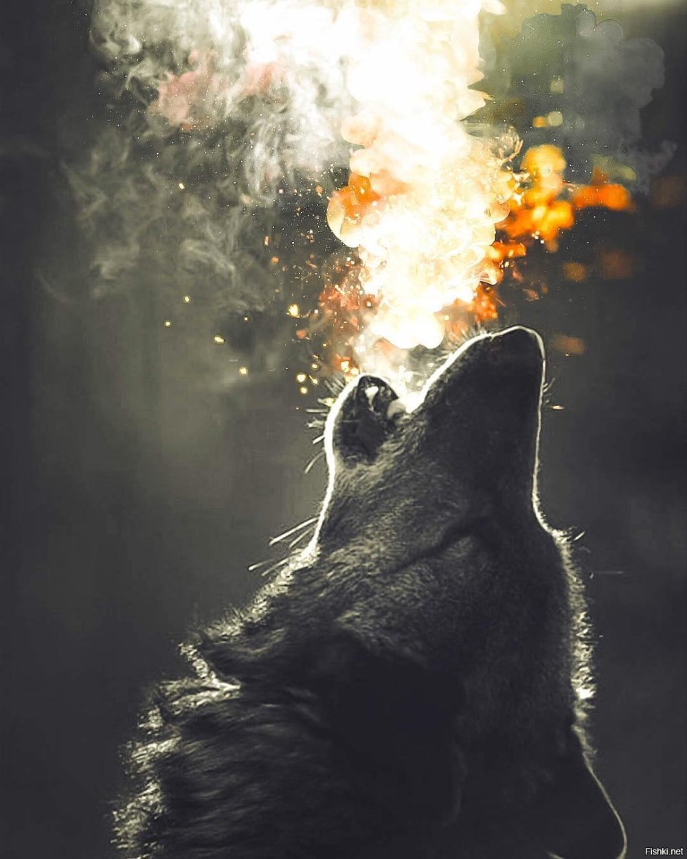 Тлеющий волк