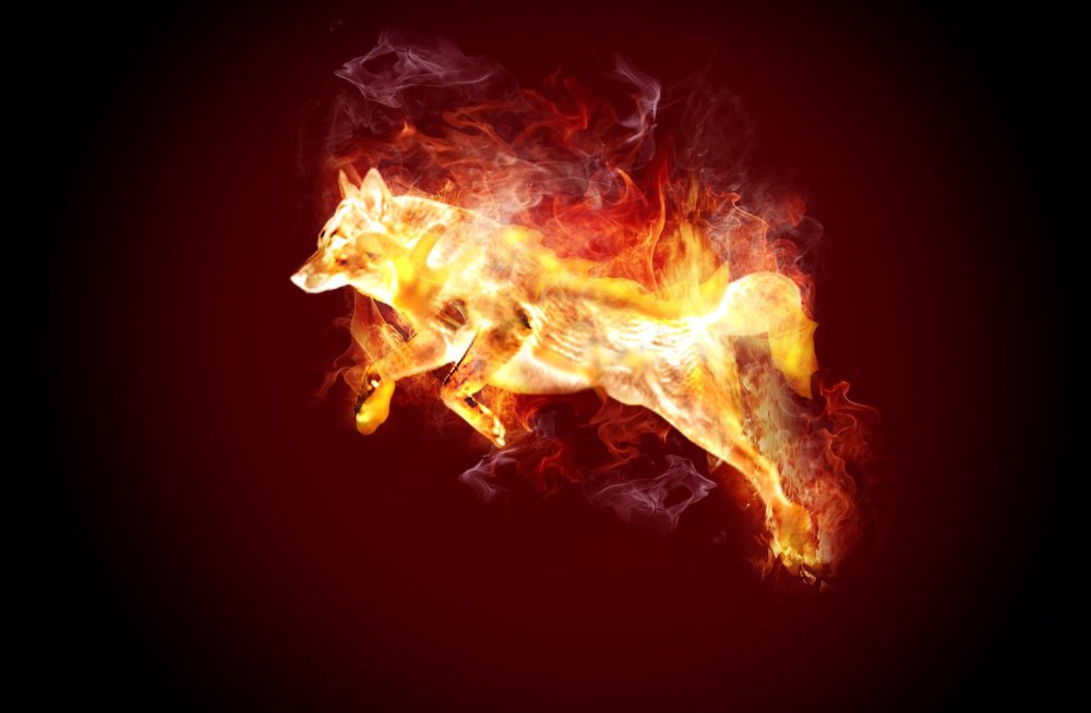 Огненные лольки