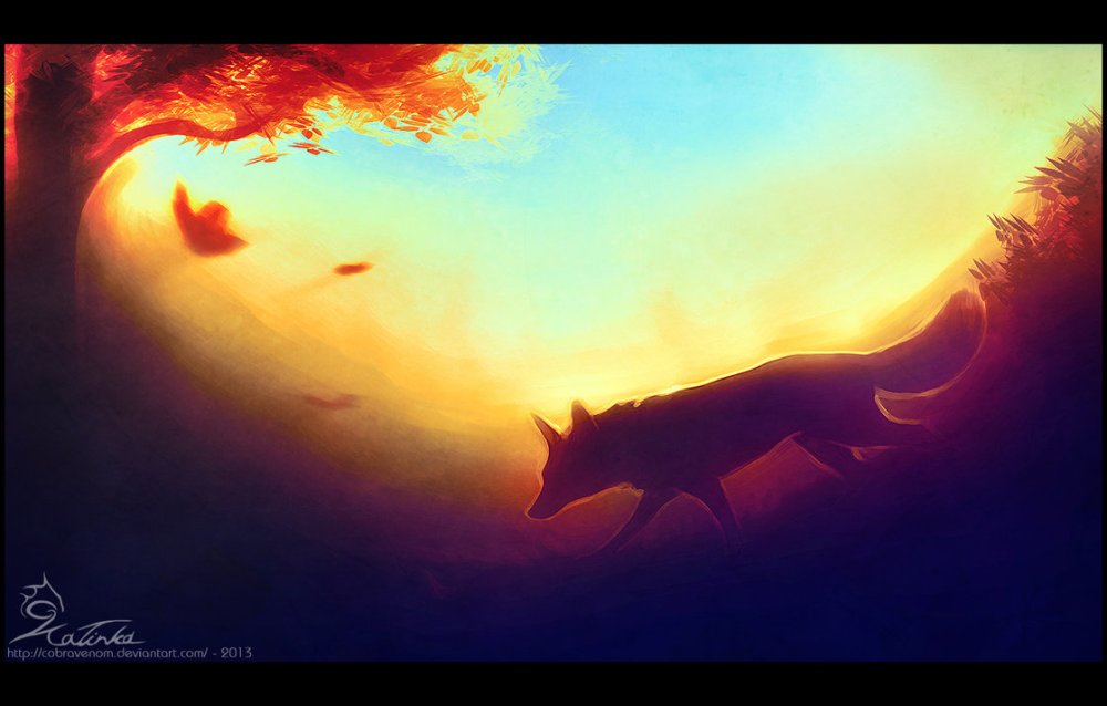 Волк обои на рабочий