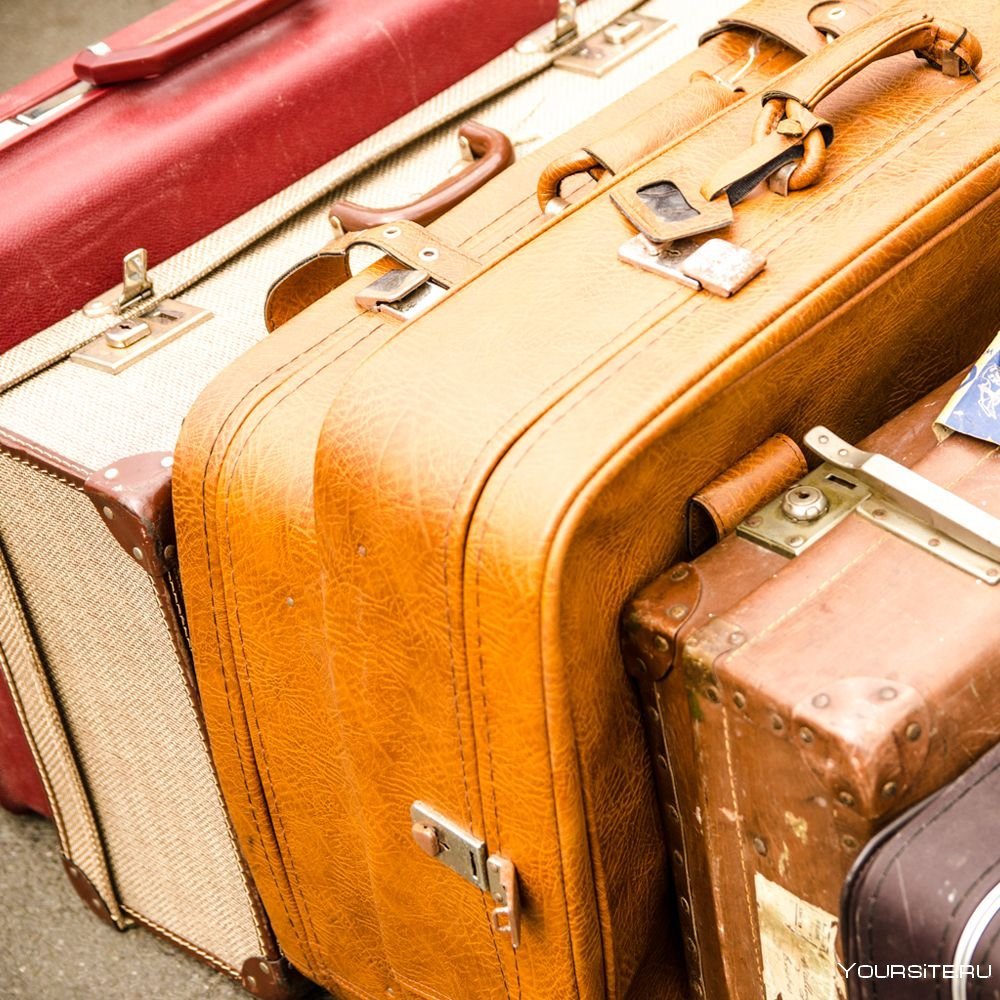 Чемодан путешественника