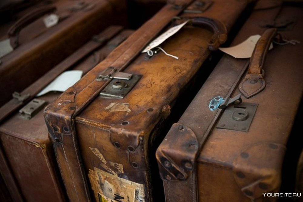 Чемодан с цветами