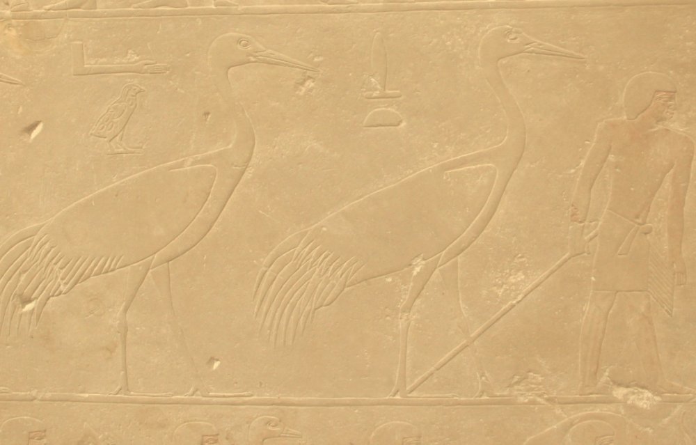 Древний Египет Папирус фон