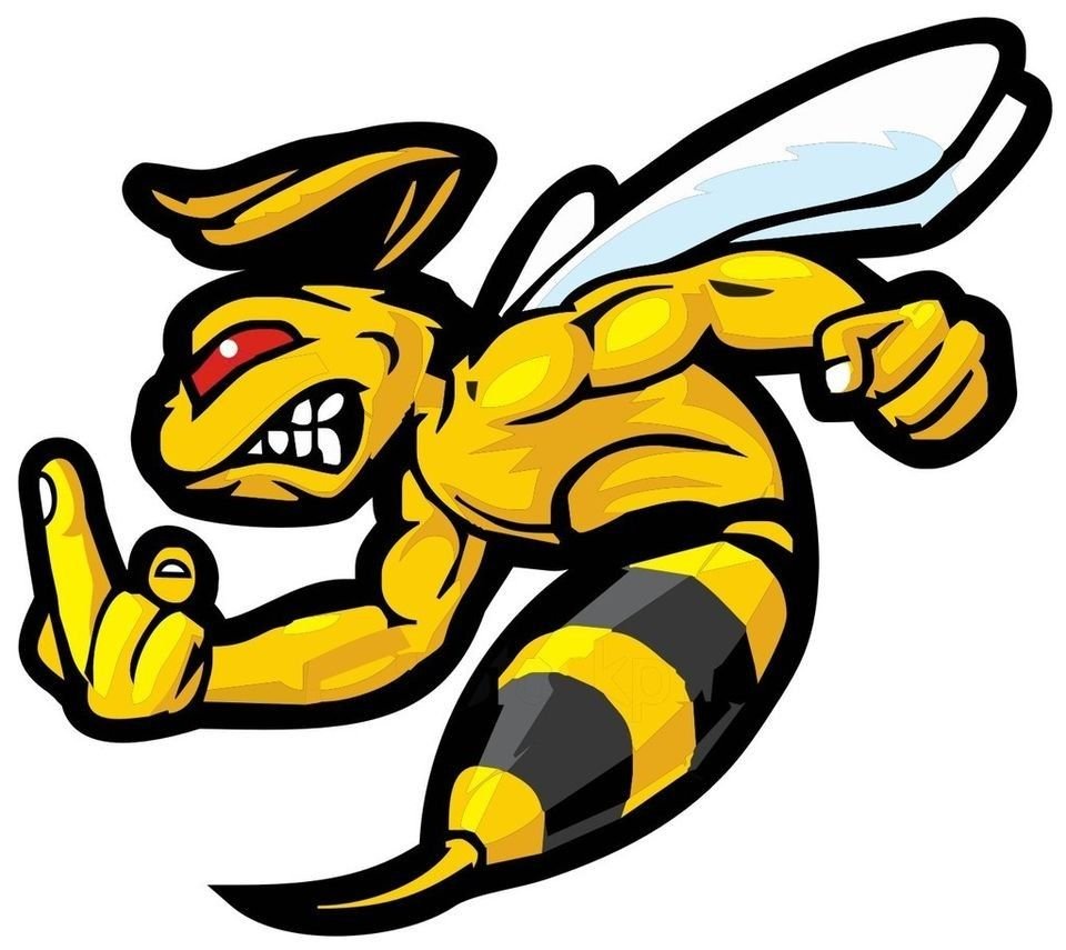 Злой Шершень