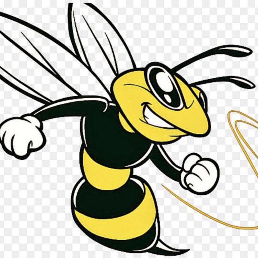 Шершень макрофото