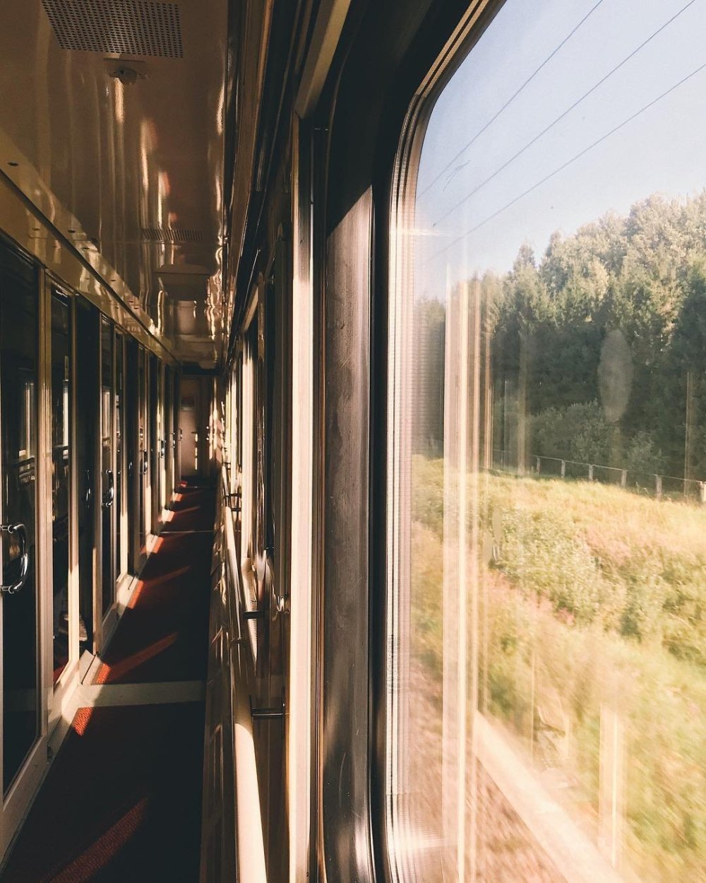 Вид из окна поезда