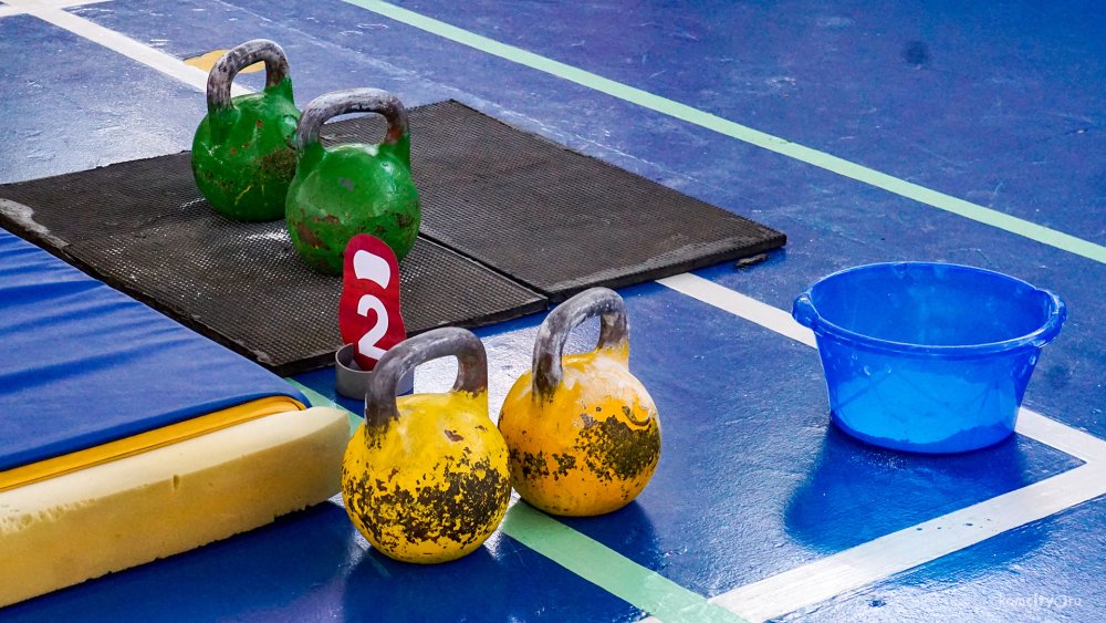 Селия Габбиани