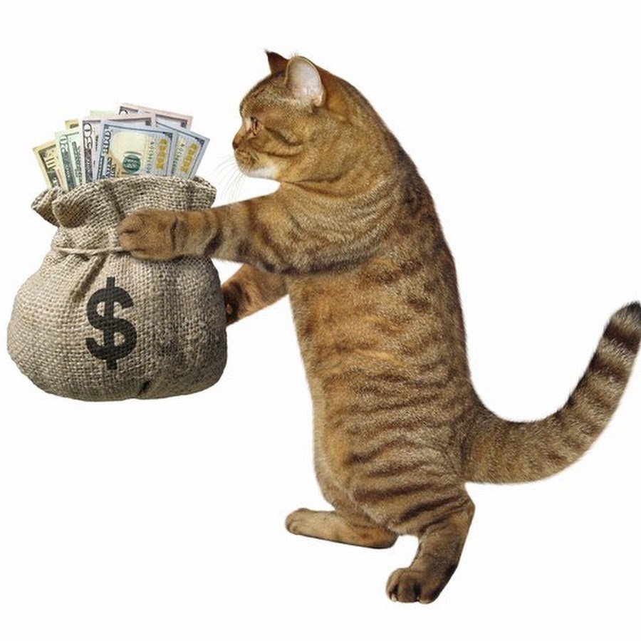 Кот с мешком денег