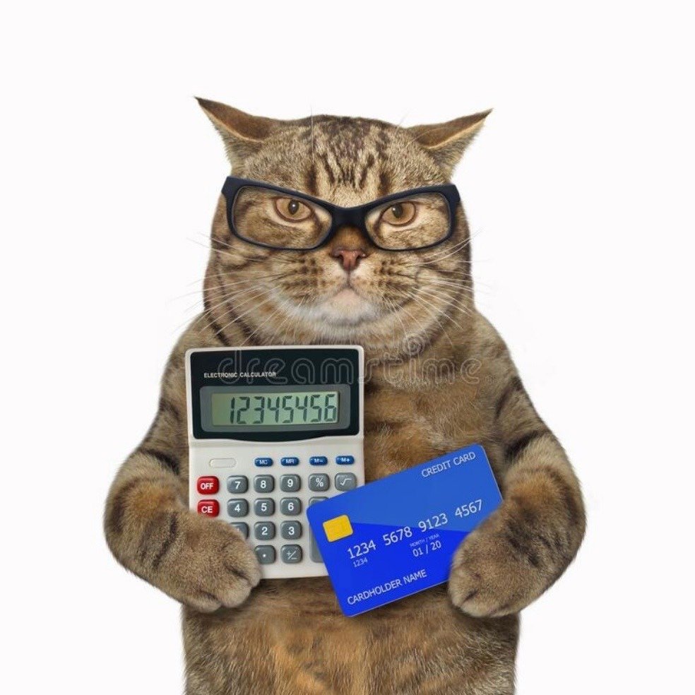 Кошачьи купюры