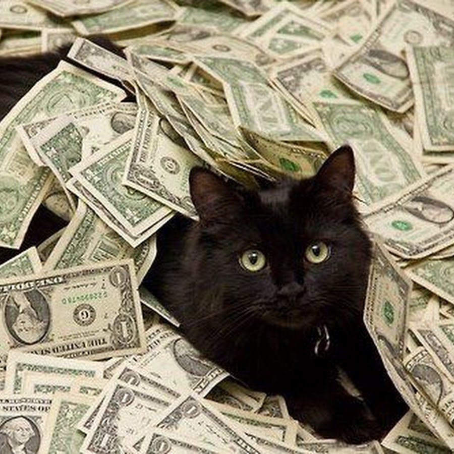 Денежная кошка