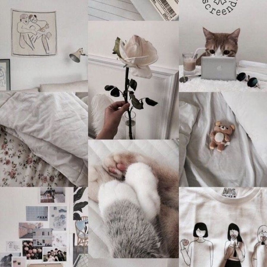 Животные с деньгами