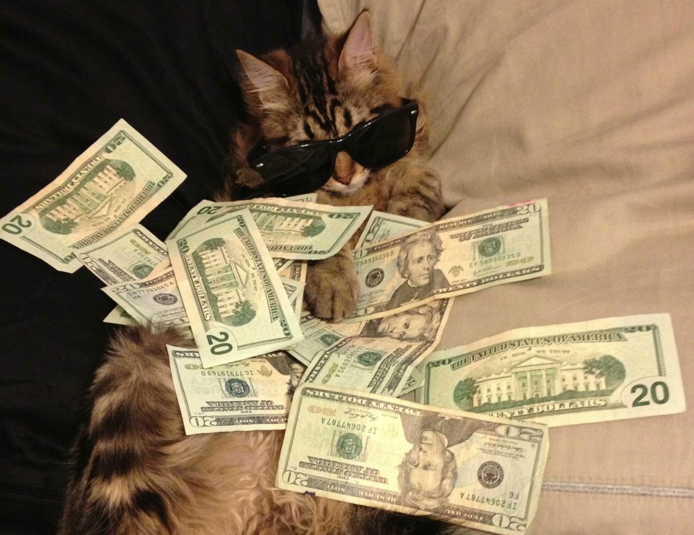 Розовые деньги Эстетика