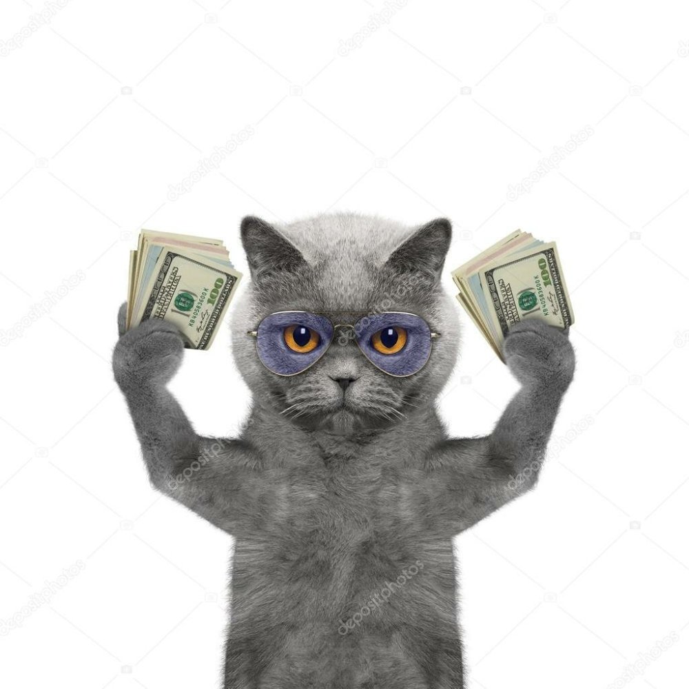 Кошка с деньгами