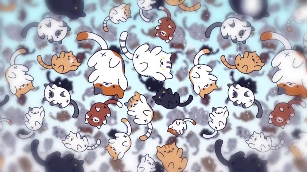 Котик с компьютером