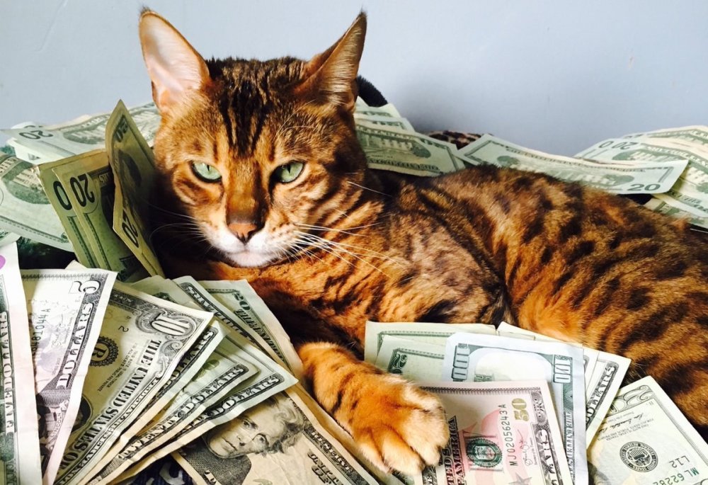 Фон на телефон красивые милые