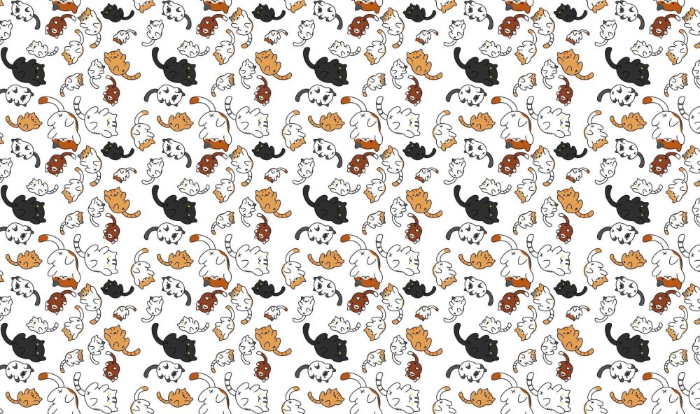 Котзилла кот