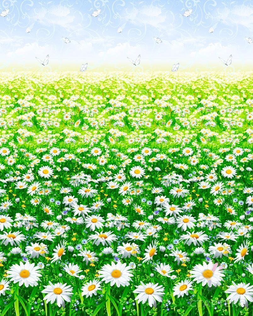 Собираетесь кого-нибудь полюбить? Научитесь сначала прощать.