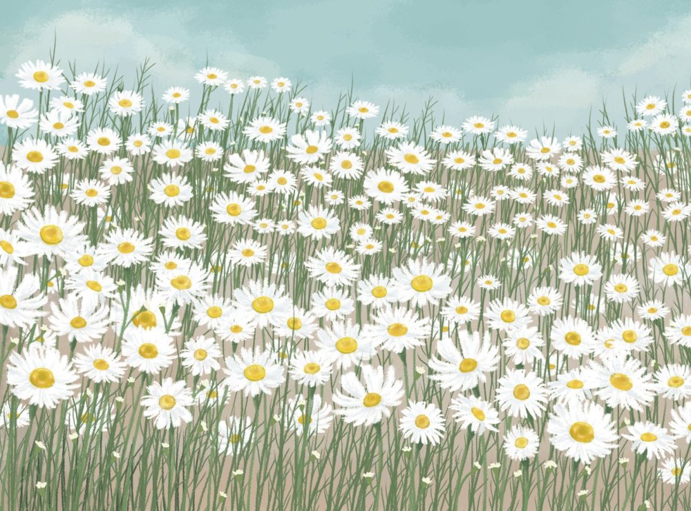 Луговое поле Чувашия