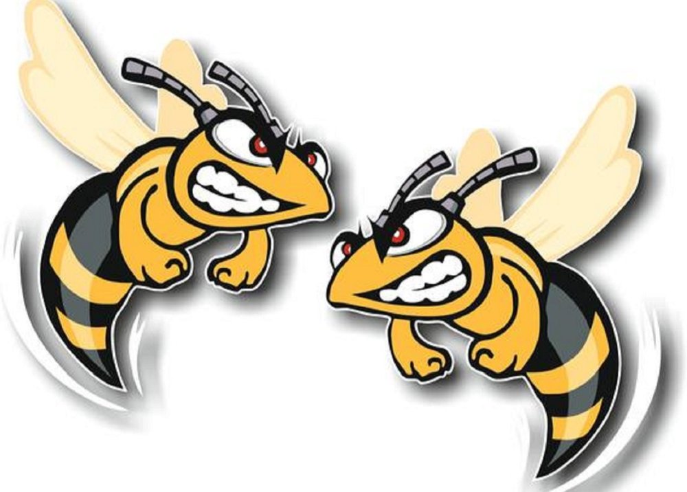 Мультяшные злые пчёлы