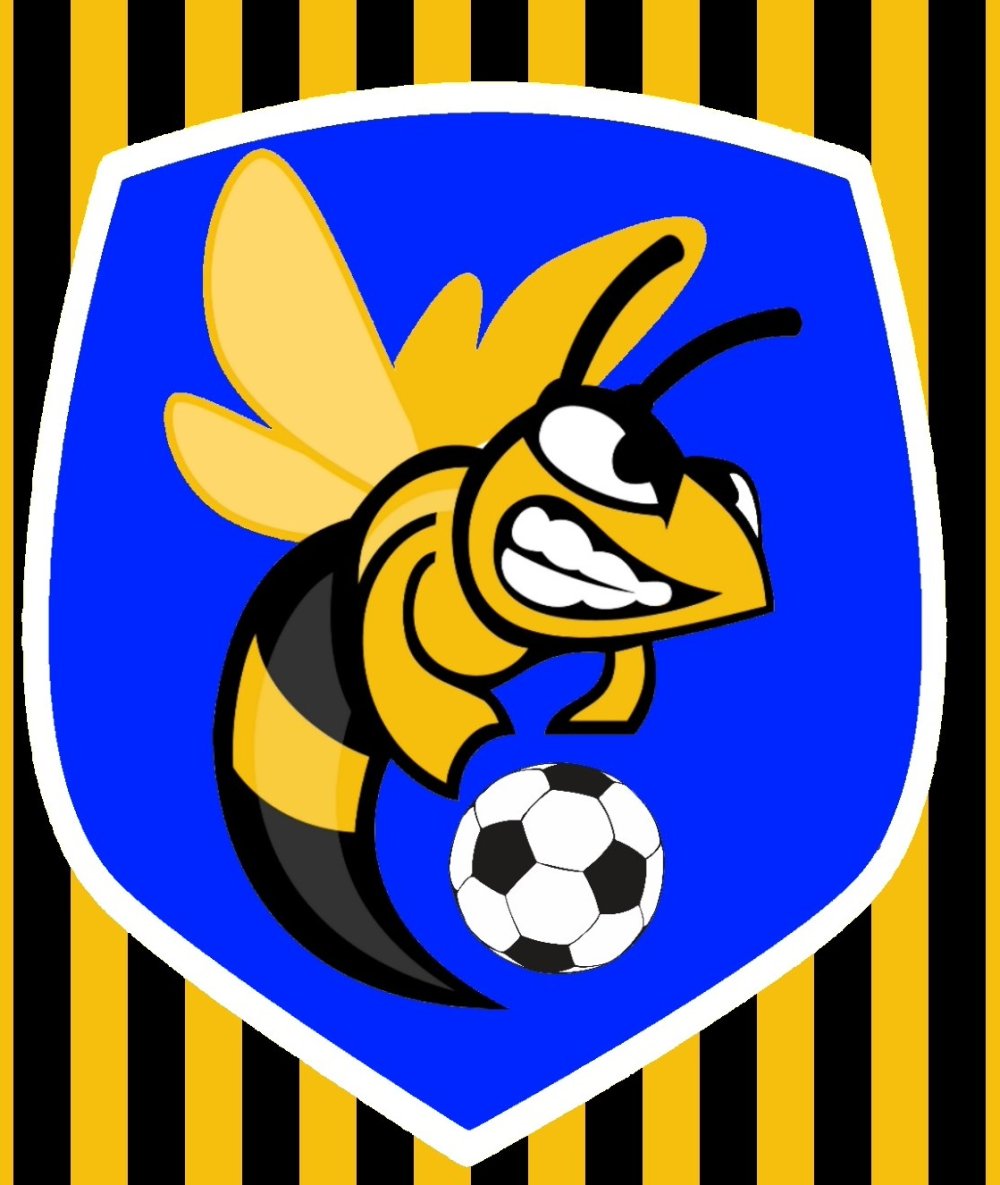 Пчела талисман футбольной команды