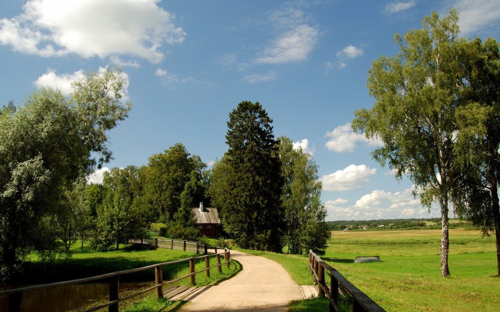 Деревня Колюпаново природа