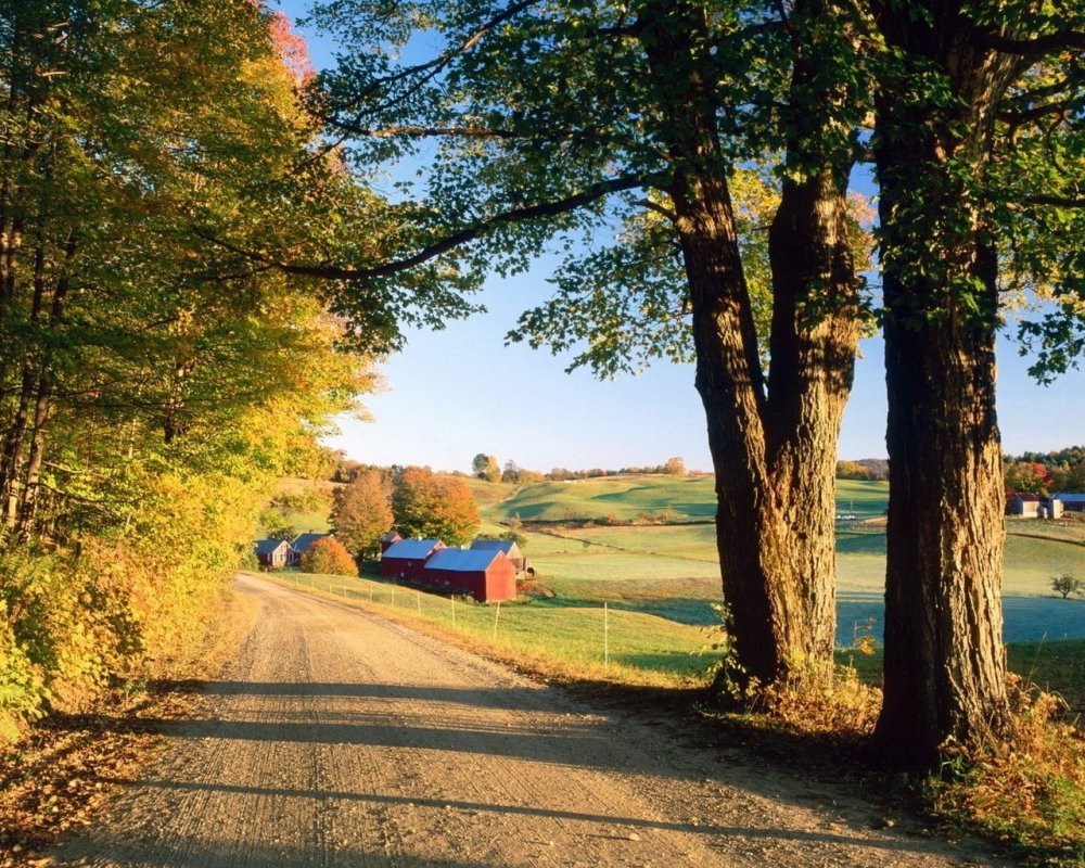 Ранняя осень в деревне
