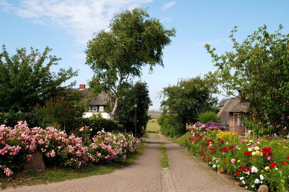 Сад в деревне