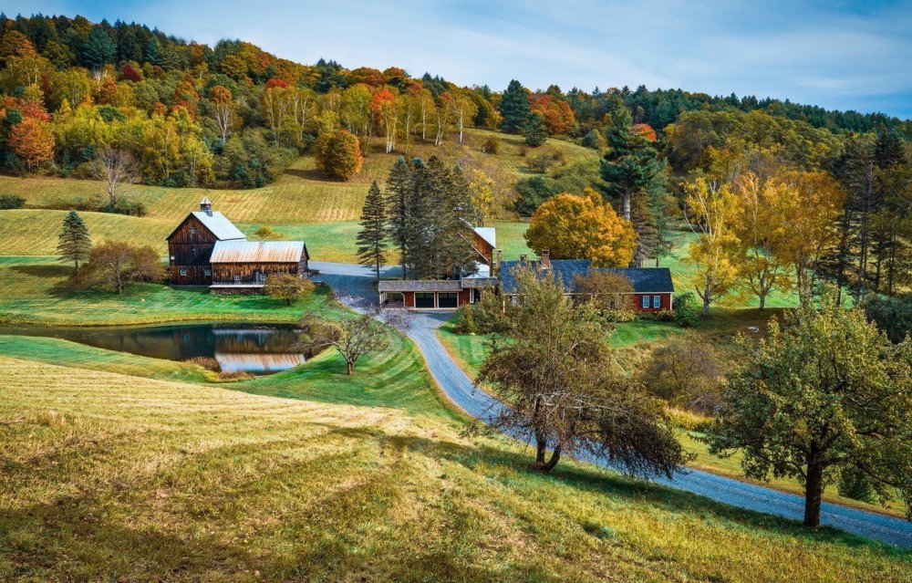 Деревня Мегра Вологодская пейзаж