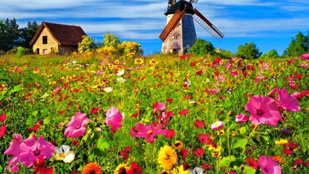 Деревенский домик