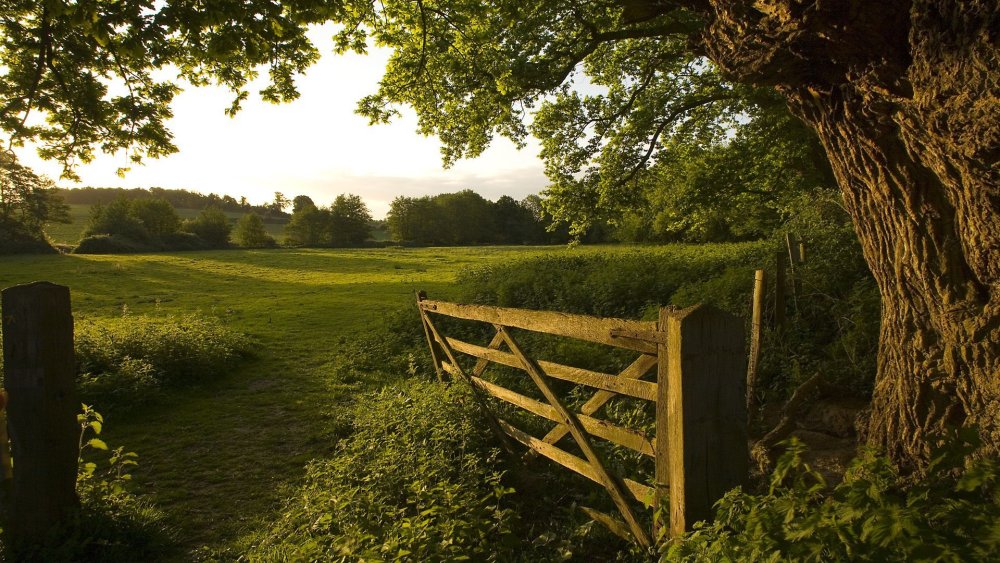 Родные просторы Пушгоры панорама