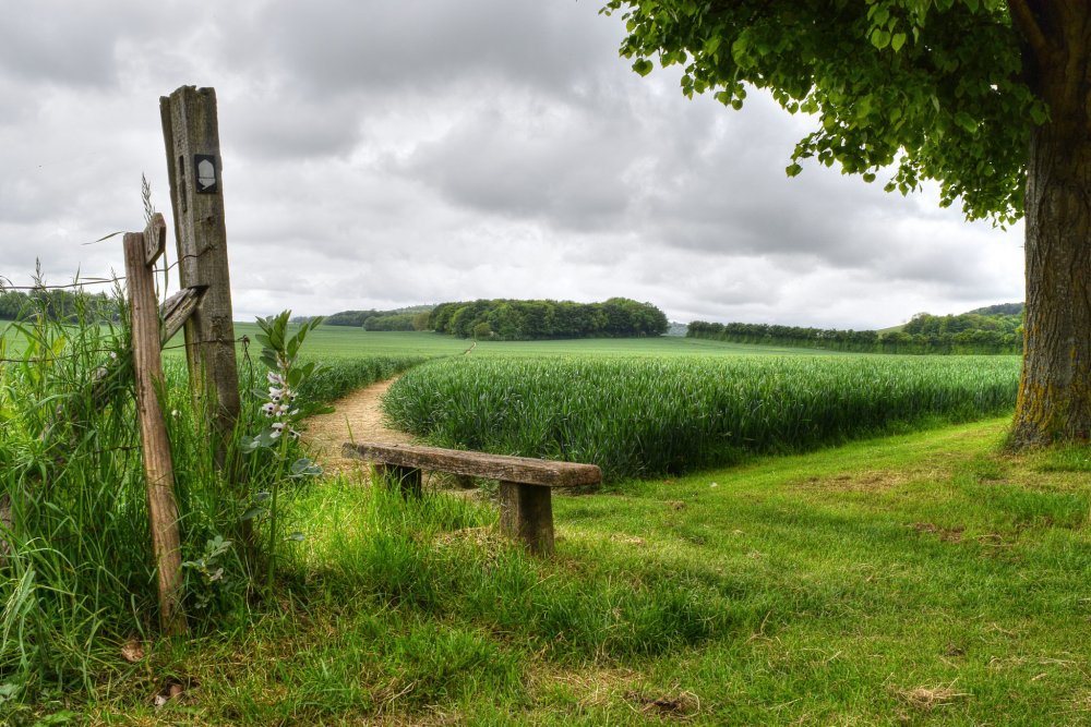 Весенняя деревенька John Sloane.