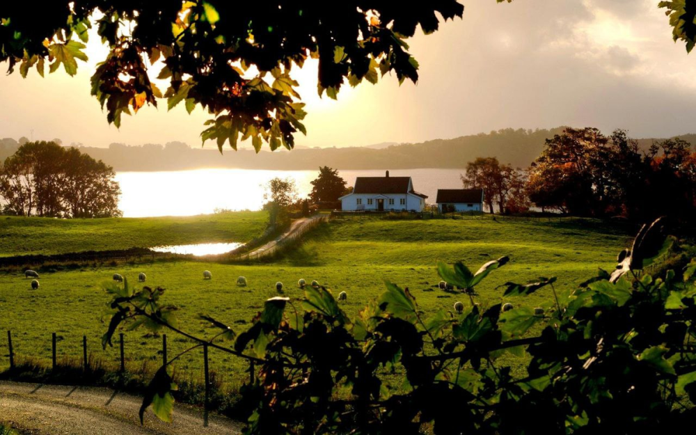 Храм у пруда Ярославль