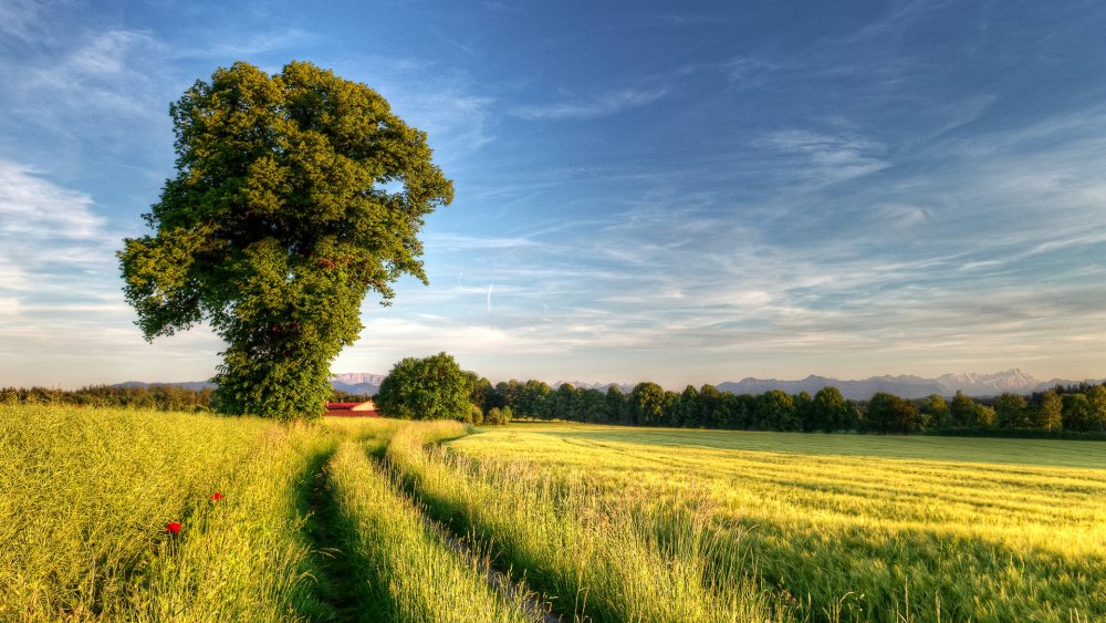 Озеро в деревне