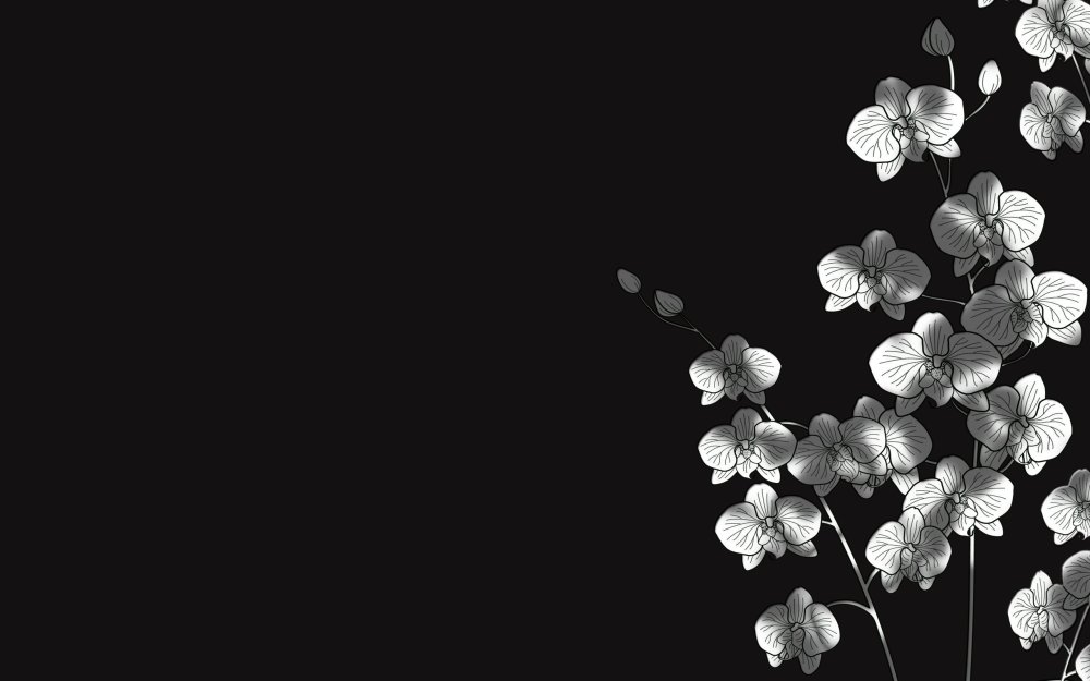 Цветы на черном фоне
