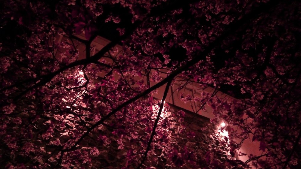 Эстетика ночи