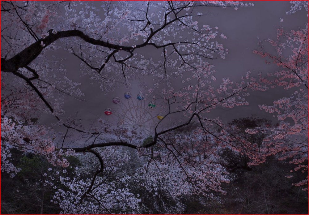 Природа Японии Эстетика