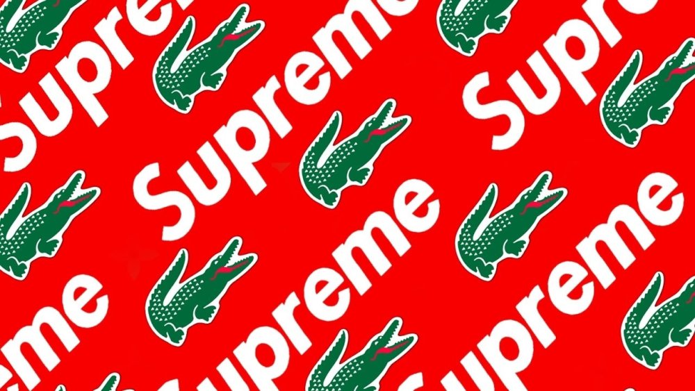 Лого лакост на поло