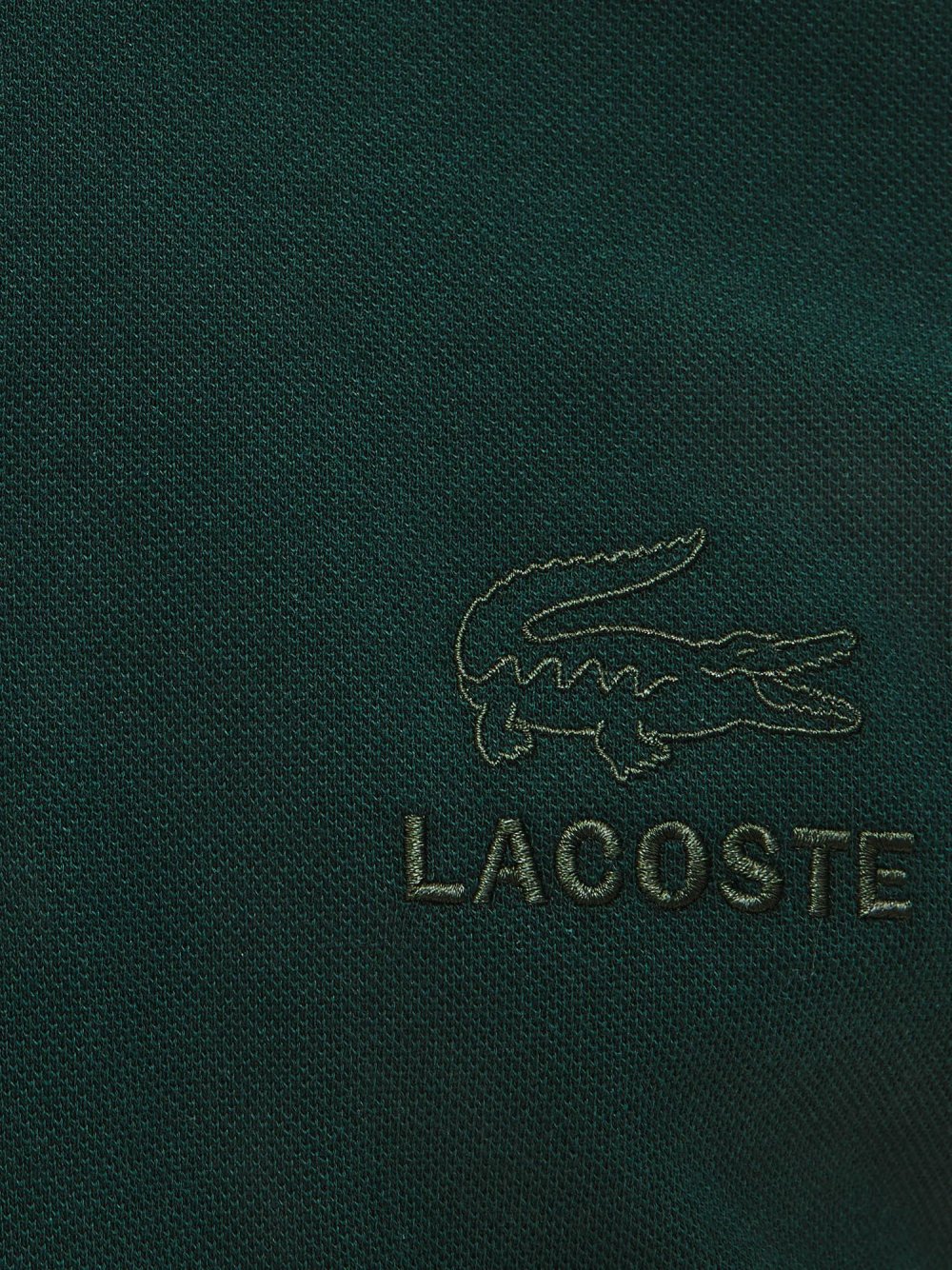 Коста лакоста крокодил