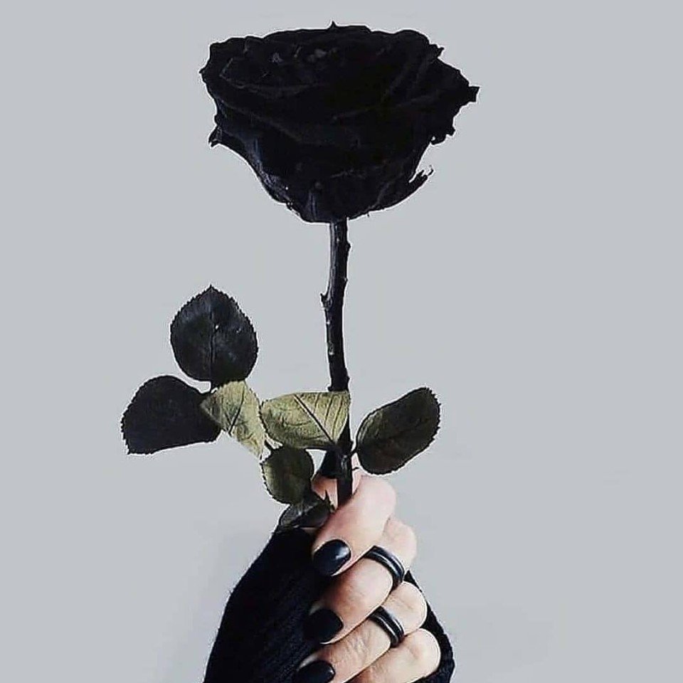 Эстетика коллаж