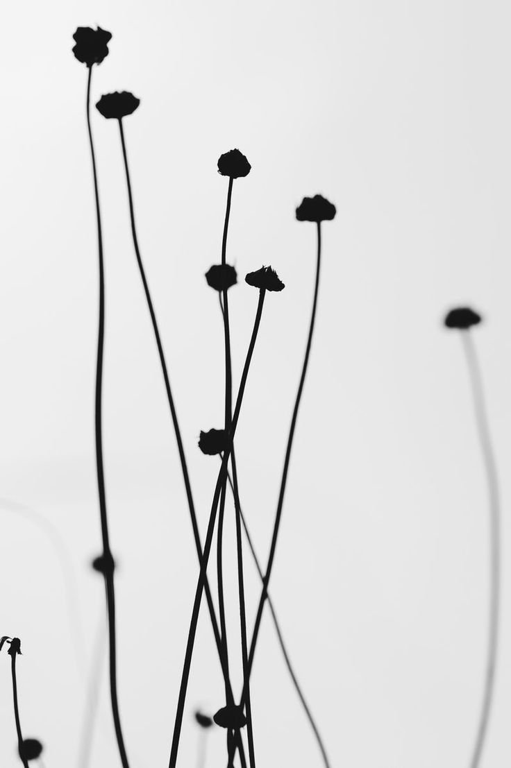 Серая абстракция