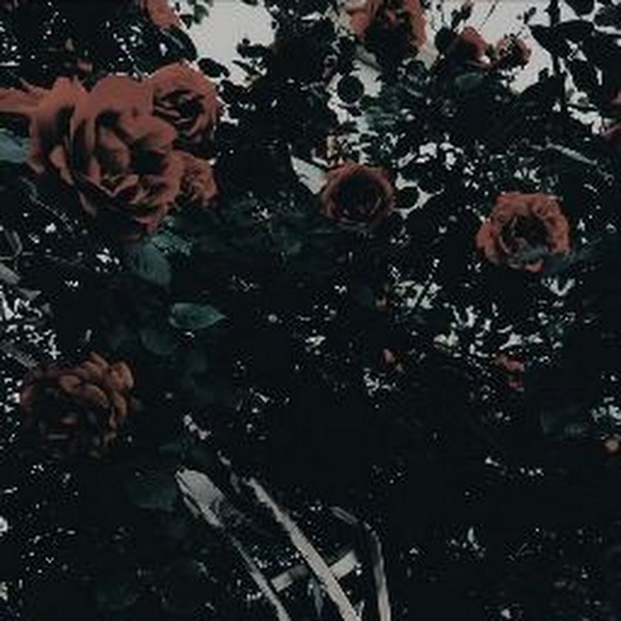 Эстетика черно-белого цвета коллаж