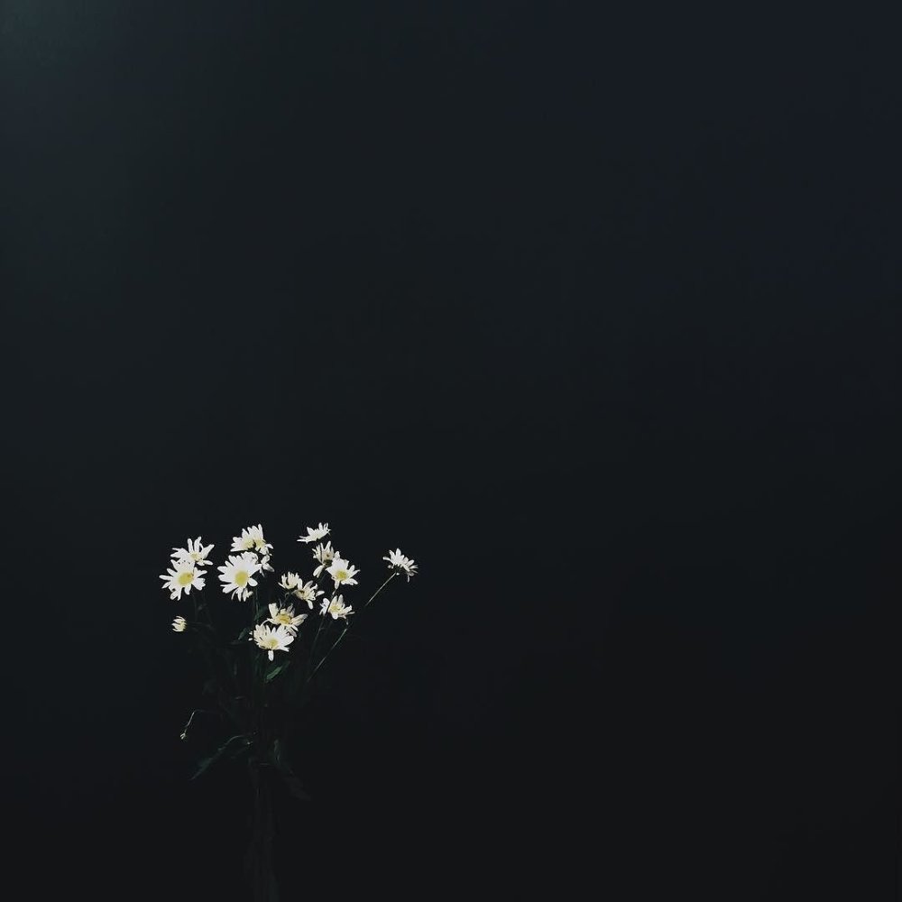 Чёрно-красный фон Эстетика