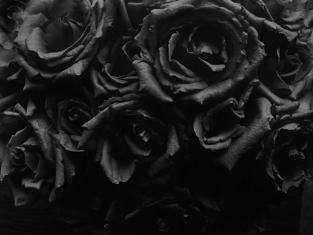 Страшилки Эстетика непета Эстетика