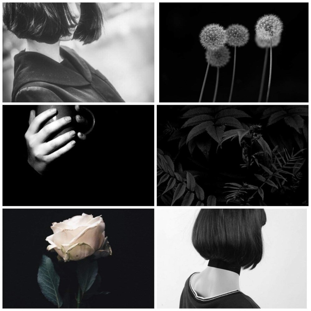 Эстетика чёрного и белого