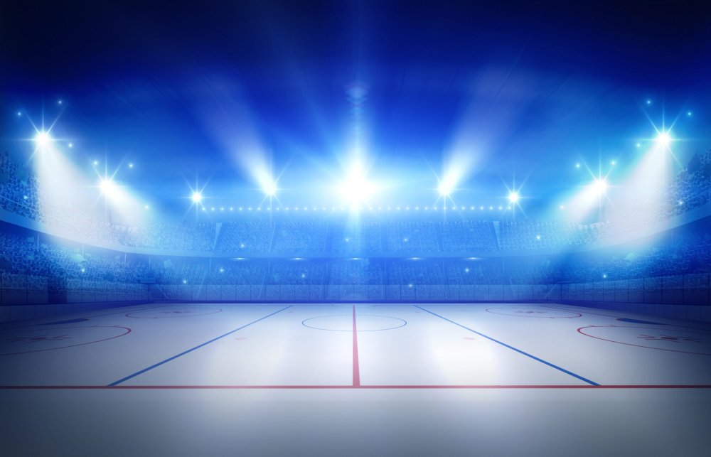 Хоккейное поле с воротами