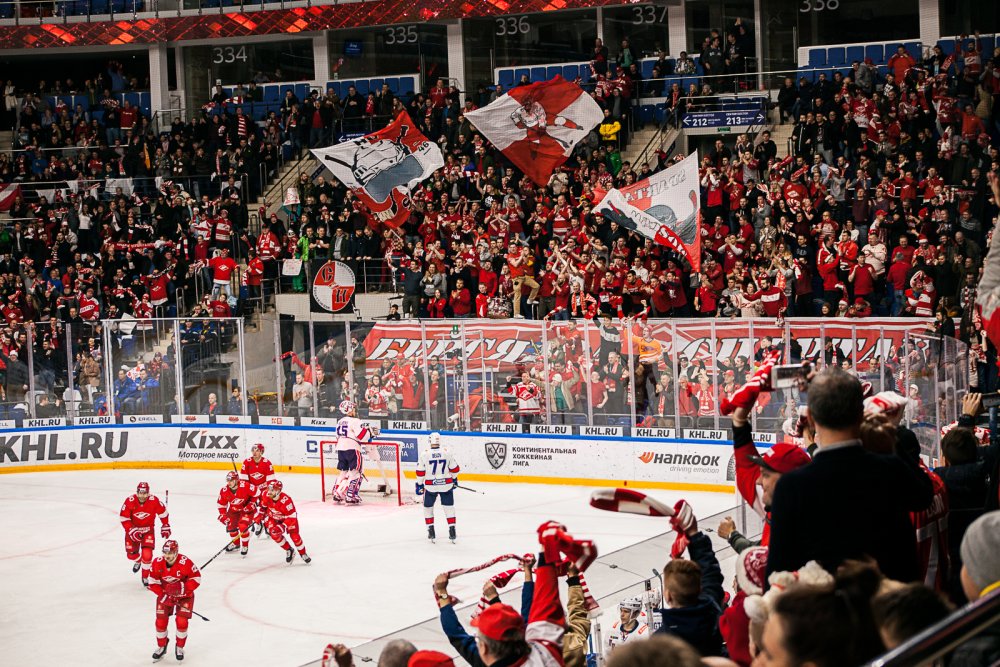 Хоккейные ворота на ледовой арене