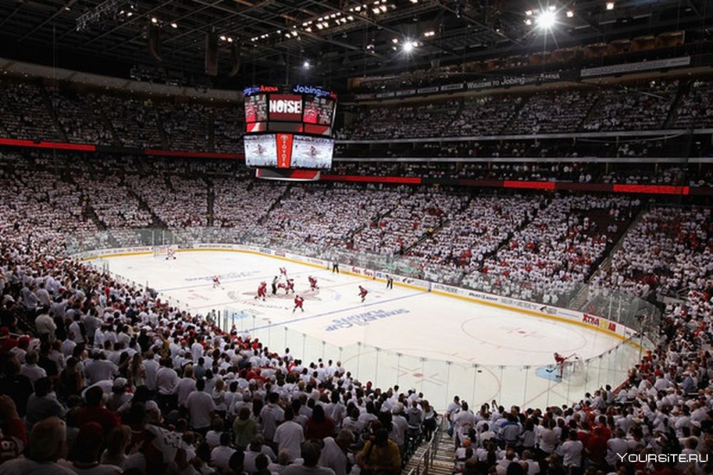 Хоккейный стадион Динамо Москва