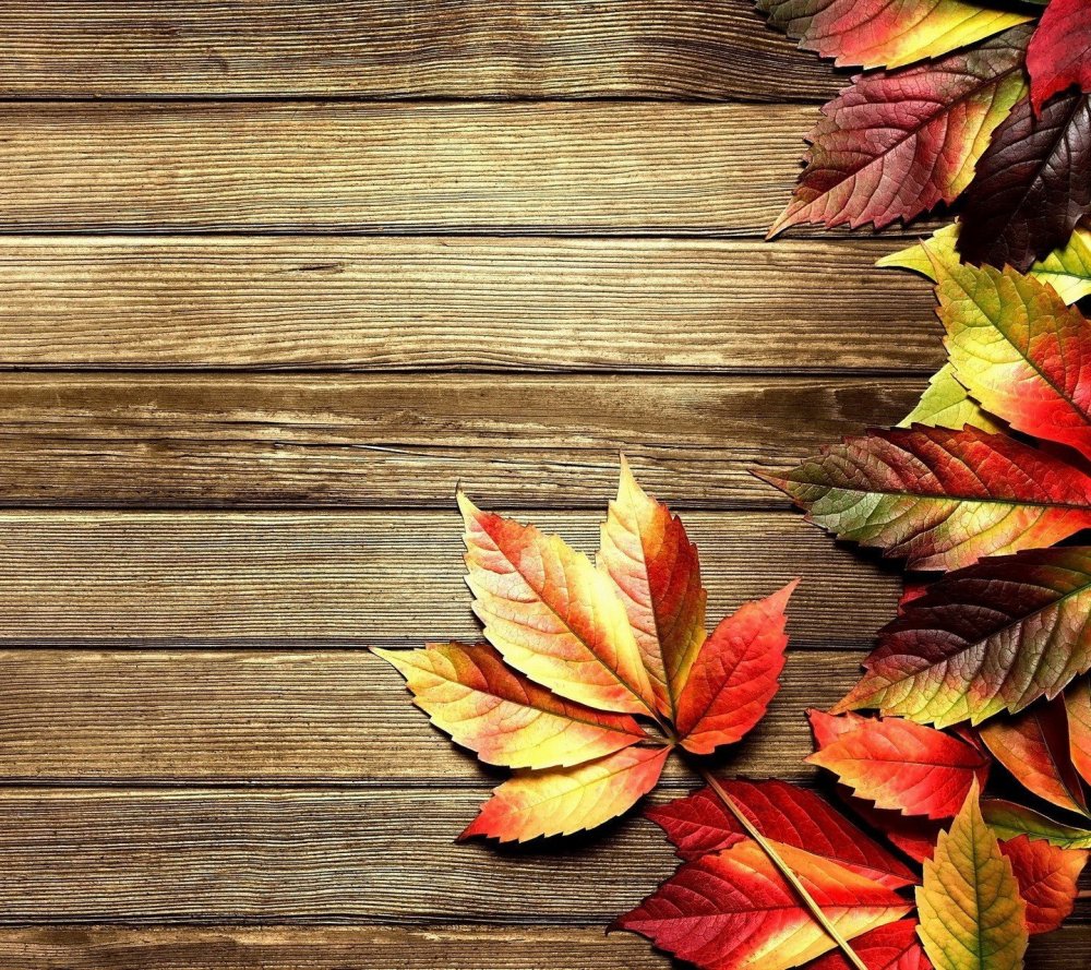 Осенний фотофон