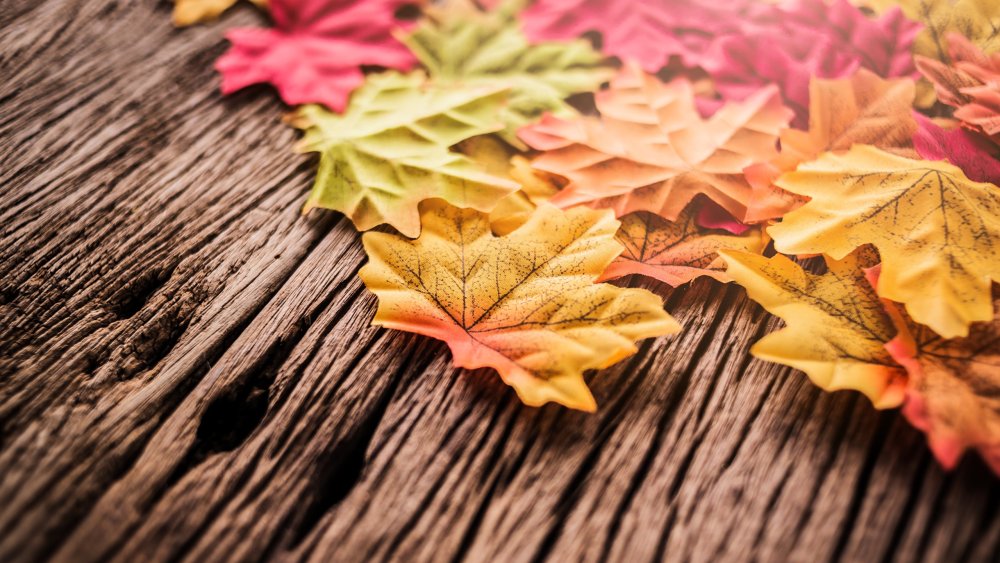 Осенние листья