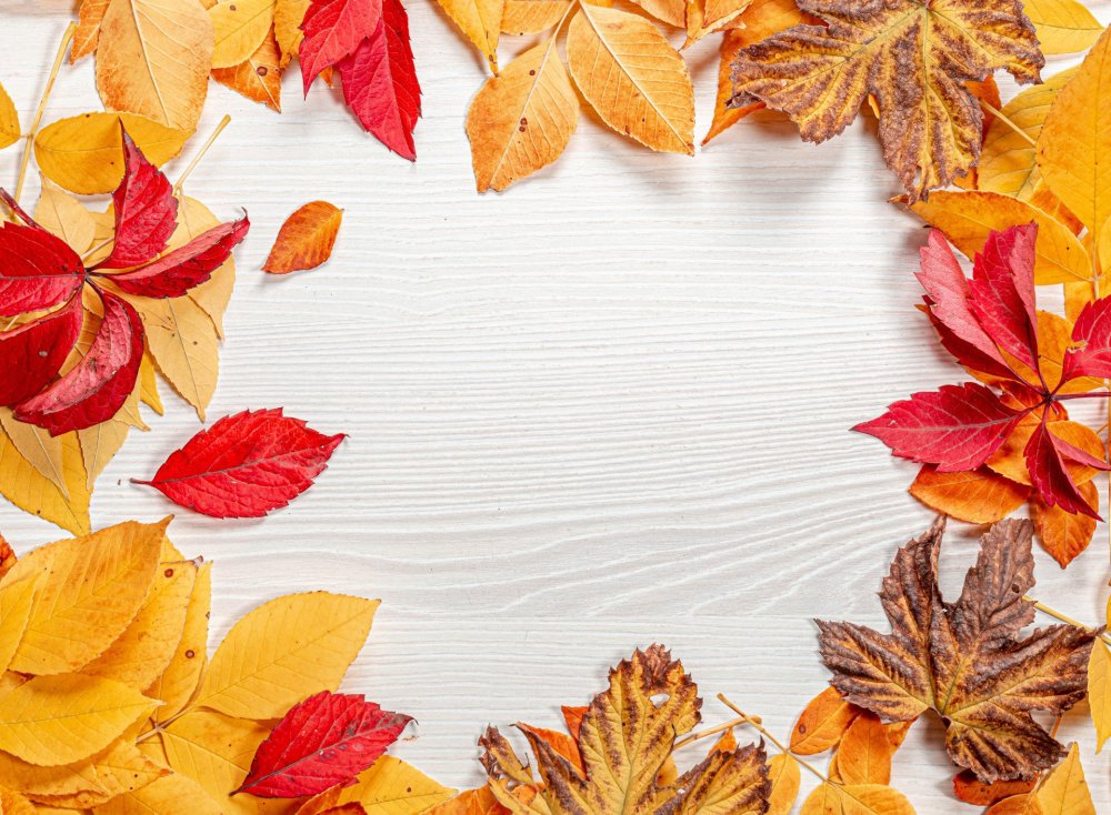 Красивый фон с осенними листьями